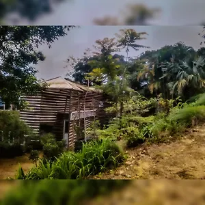  Bed & Breakfast Jungle Tree House Rangala